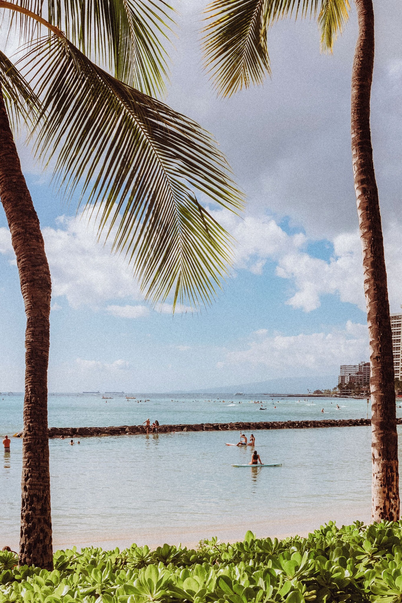 Royal Grove Waikiki